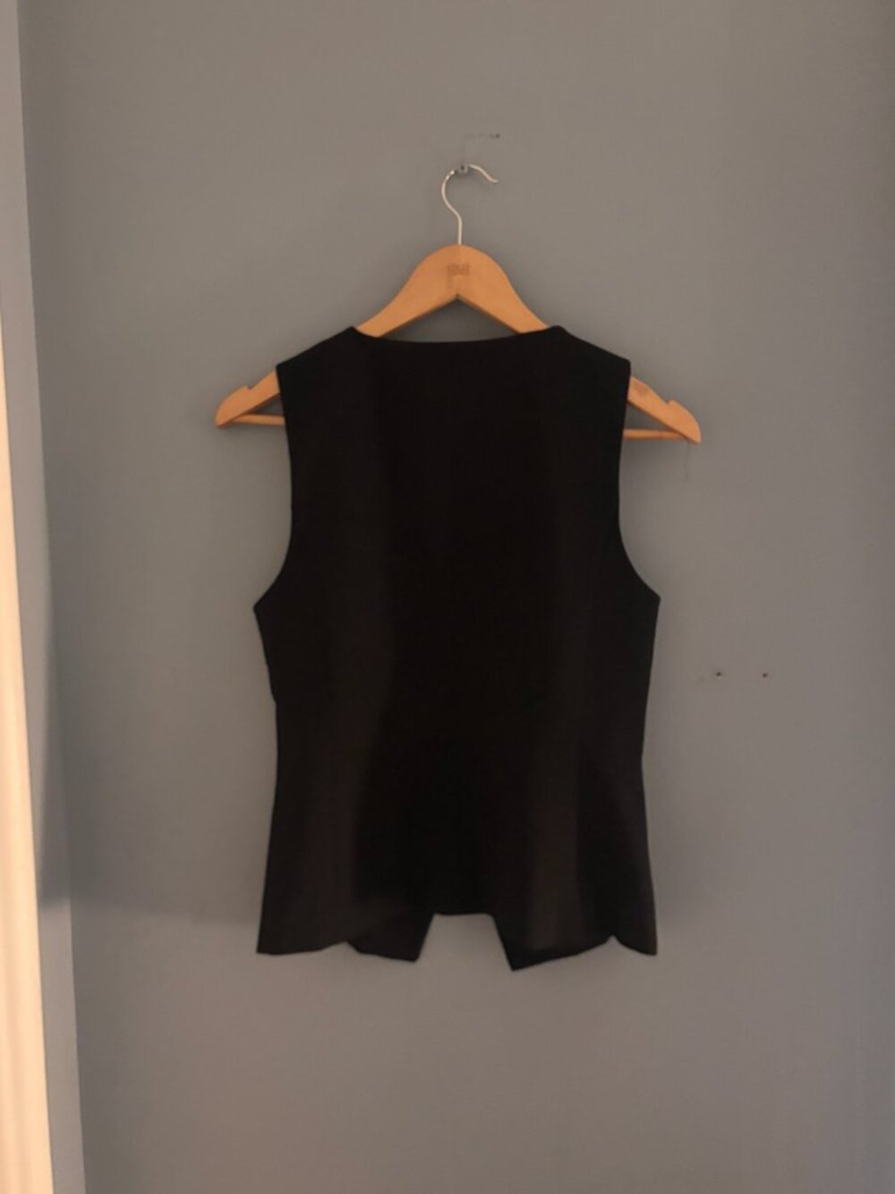 Aritzia Regal Vest - Black